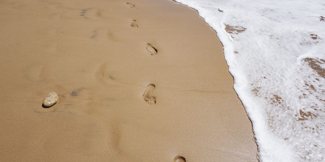 FontanaGrafica-news-carbonfootprint FontanaGrafica-news-carbonfootprint