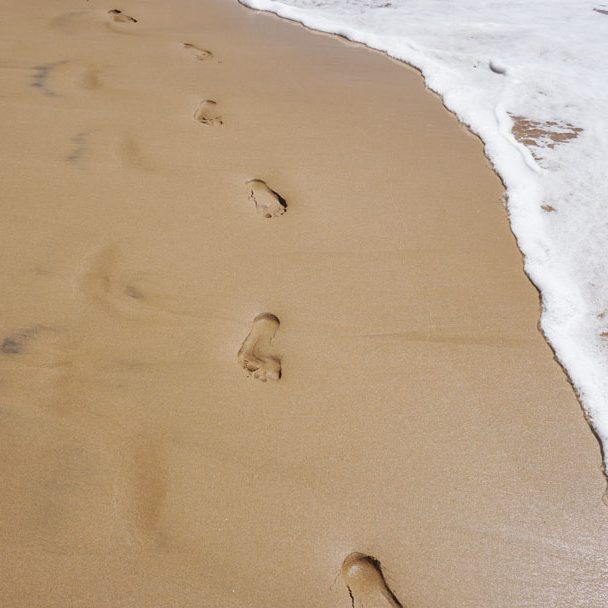 FontanaGrafica-news-carbonfootprint