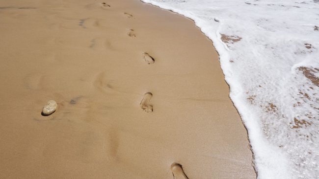 FontanaGrafica-news-carbonfootprint