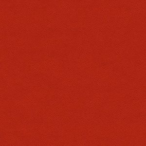 Ecorel® Pure Skiver 50% PCW