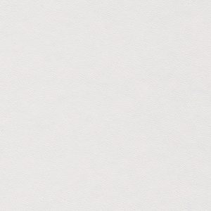 Ecorel® Pure Skiver 50% PCW