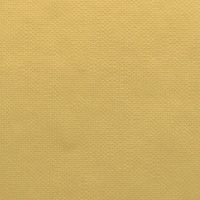 EFL2202 BRIGHT GOLD