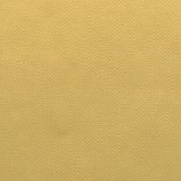 EFL2202 BRIGHT GOLD