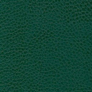 Wintan® Safia - WSA22 GREEN
