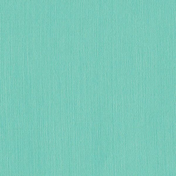 WBF557_Mint