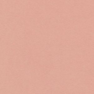 Wibalin® Natural - WBN521 SALMON