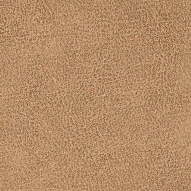 Fontana Grafica Wintan Vintage