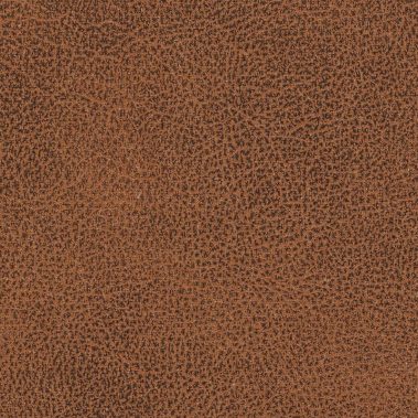 Fontana Grafica Wintan Vintage