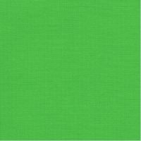 4312 VERDE BRILLANTE
