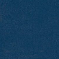 ECP14504 BLUE