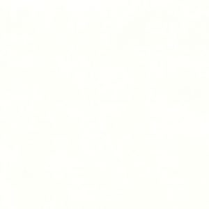 Nappan® Jaipur - NAPJ6678 NEIGE