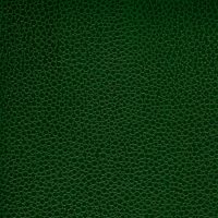 PEM9207 GREEN