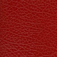 SXS5295 RED