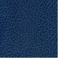 SXS5299 BLUE