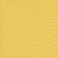 SXS5303 YELLOW