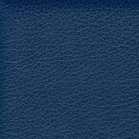SXU5345 BLUE