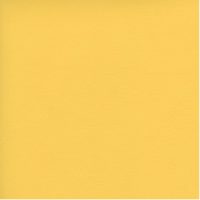 SXV5210 YELLOW