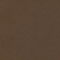 WBN524 DARK BROWN