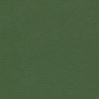 WBN552 GREEN