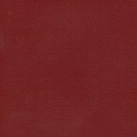 ECP14503 MAROON