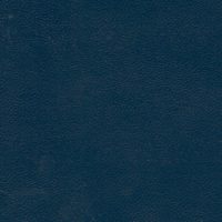 ECP14505 BLUE