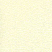 SXS5304 IVORY