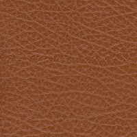 SXS5305 BROWN