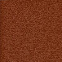 SXU5348 BROWN