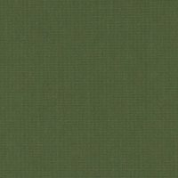 CIB8557 OLIVE GREEN