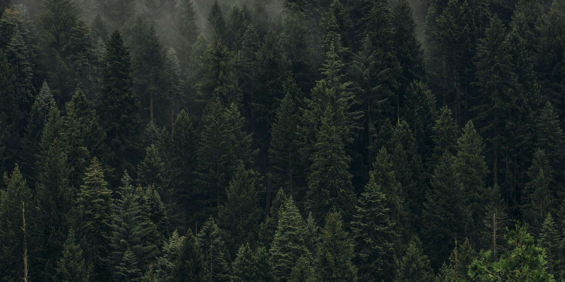 FontanaGrafica-home-sustainability2 FontanaGrafica-home-sustainability2