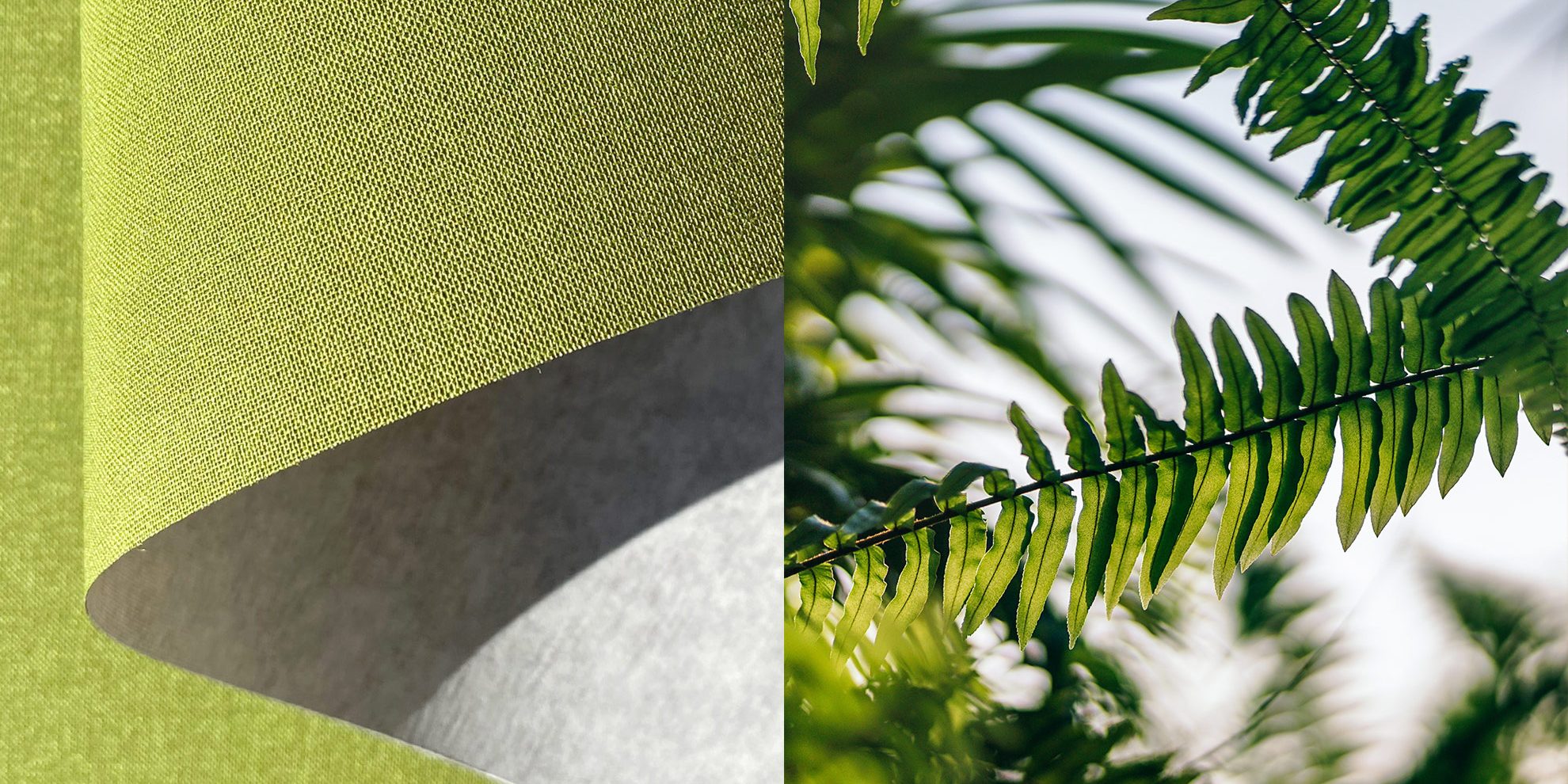 FontanaGrafica-news-fsc Tele Ecovero