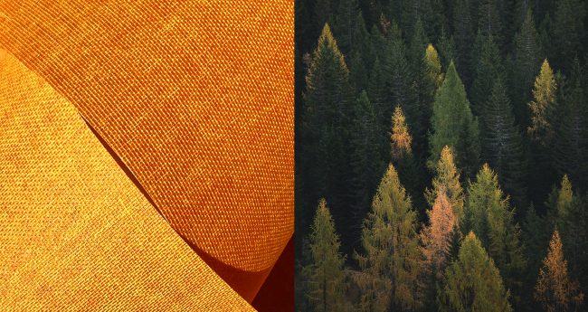 Fontana Grafica tele viscosa nuovi colori