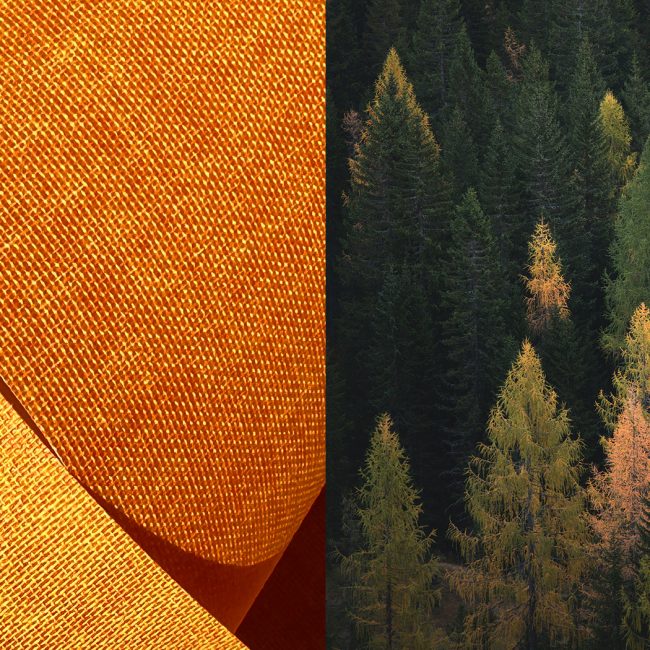 Fontana Grafica tele viscosa nuovi colori