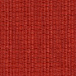 Coloretta Fontana Grafica