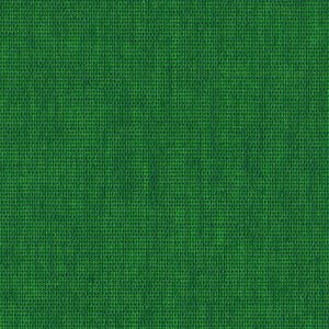 Coloretta Fontana Grafica