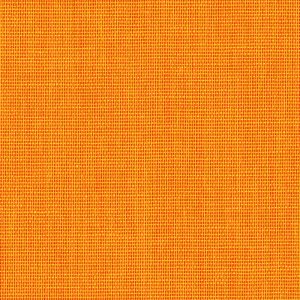 Coloretta Fontana Grafica