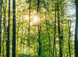Glossario-Ecovero-FontanaGrafica