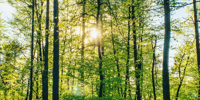 Glossario-Ecovero-FontanaGrafica