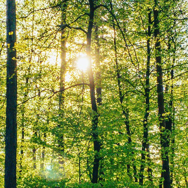 Glossario-Ecovero-FontanaGrafica