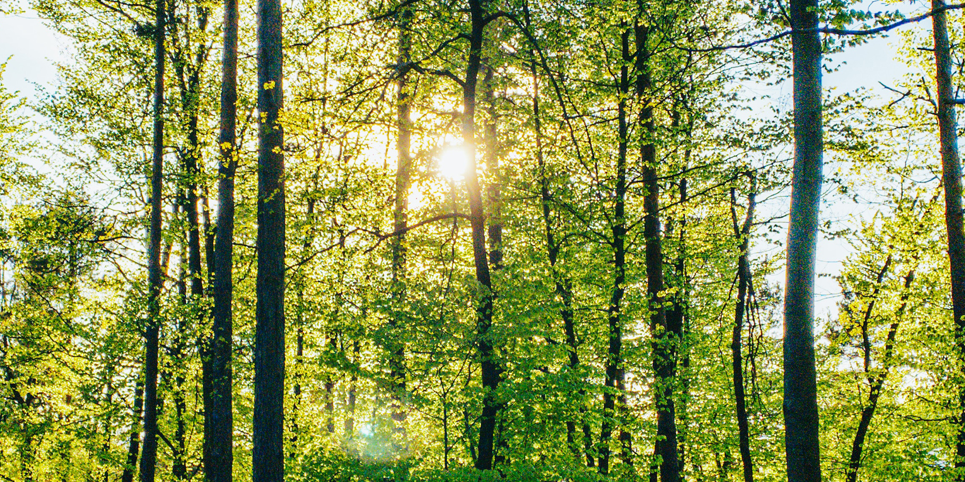 Glossario-Ecovero-FontanaGrafica