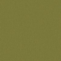 EPF64036 OLIVE