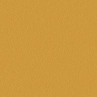 EPM63034 MUSTARD