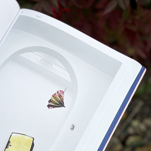 Fontana Grafica Libri d'arte