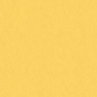 WEN2418 SUNSHINE