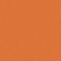 WEN2425 MANDARIN