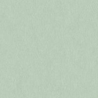 WEN2473 PISTACHIO