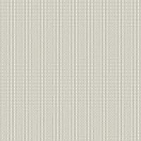 WER2548 PUMICE