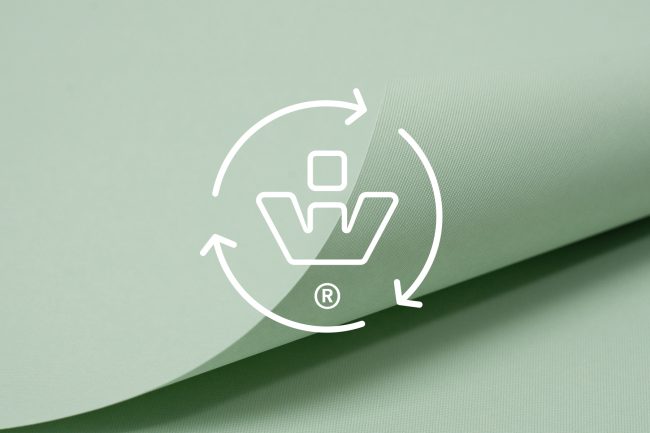 Welino-01 Welino Reverso