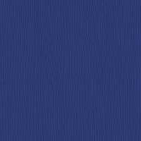 WBA565 BLUEBERRY