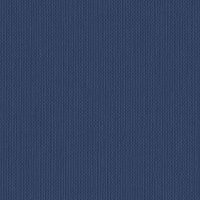 WBB565/320 BLUEBERRY